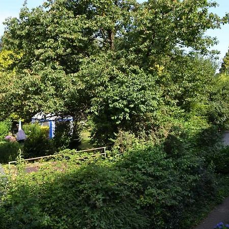 4 Sterne Ferienwohnungen Lavendel Brueggen Bruggen  Εξωτερικό φωτογραφία
